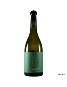 Nus del Terrer Blanc - Nus_del_Terrer_Blanc