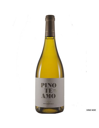 Pinoteamo - PINOTEAMO