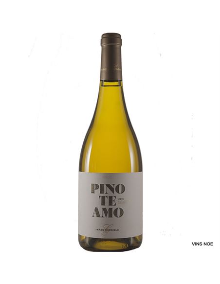 Pinoteamo - PINOTEAMO