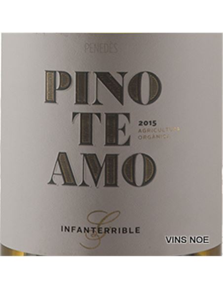 Pinoteamo - PINOTEAMO-E