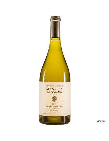 Massipa de Scala Dei - MASSIPA 