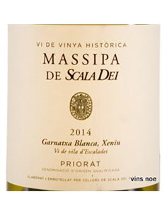 Massipa de Scala Dei - MASSIPA  2