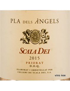 Pla dels Àngels - PLA_DELS_ANGELS 2