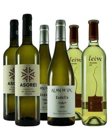 Paseo por las variedades y regiones de Galicia - 335