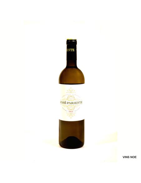 José Pariente Verdejo Magnum - JOSE PARIENTE