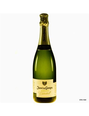 Juve Camps Essential Xarel·lo Brut Reserva - JUVÉ_Y_CAMPS_ESSENTIAL_XAREL·LO_BRUT_RESERVA