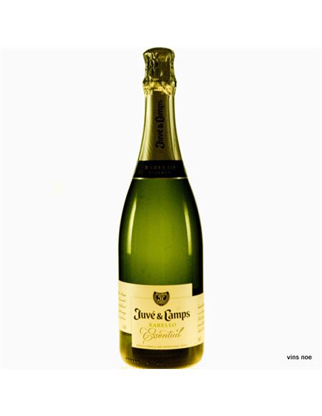 Juve Camps Essential Xarel·lo Brut Reserva - JUVÉ_Y_CAMPS_ESSENTIAL_XAREL·LO_BRUT_RESERVA