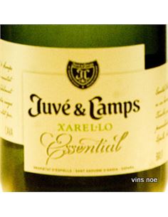 Juve Camps Essential Xarel·lo Brut Reserva - JUVÉ_Y_CAMPS_ESSENTIAL_XAREL·LO_BRUT_RESERVA 2