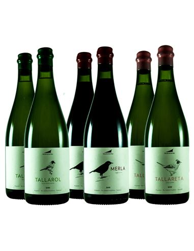 Celler de les Aus, los vinos naturales de Alella - 334-2