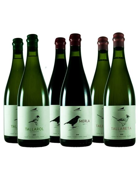 Celler de les Aus, los vinos naturales de Alella - 334