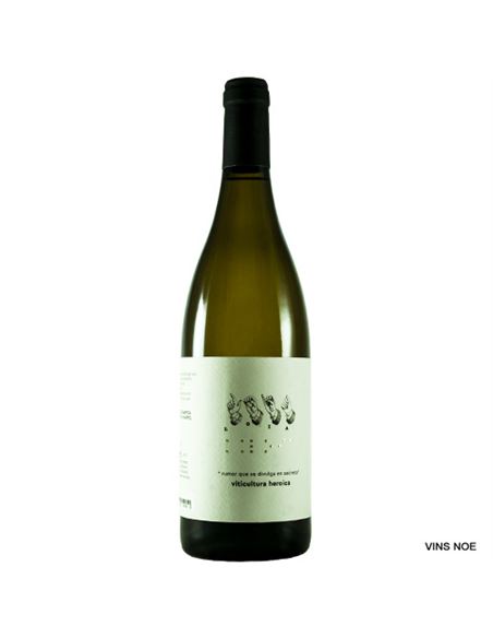 Loia Blanco Barrica - Loia_Blanco_Barrica