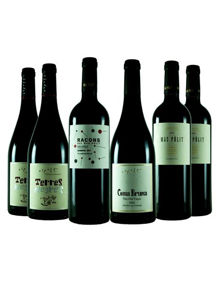 Viticultura de montaña en el Ampurdán - 330-2