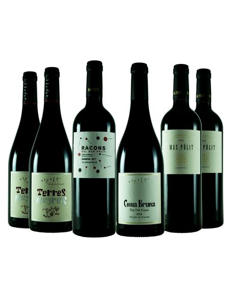 Viticultura de montaña en el Ampurdán - 330