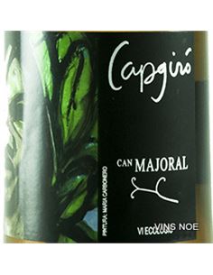 Capgiró - Capgiro_1 2