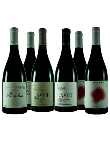 Terra Alta, vinos más amables que nunca - 328