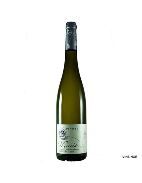 Mireia Pinord - Mireia