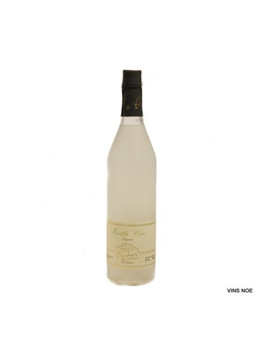 Kuhri Liqueur de Menthe - KUHRI MENTA