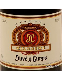 Juvé Camps Milesimé - JUVE Y CAMPS MILESIME 2