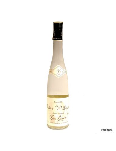 Leon Beyer Pera Williams - LEON BEYER PERA WILLIAMS