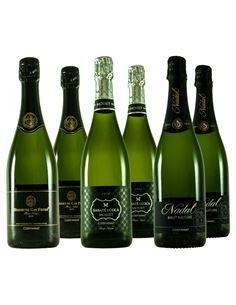 Corpinnat, espumosos de nueva identidad - 321