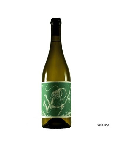 Cosmonauta Barranco del Agua - Cosmonauta_barranco_del_Agua