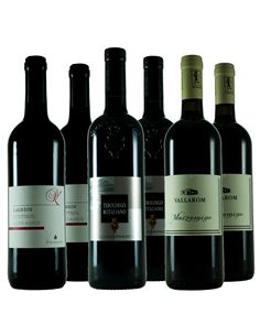 Vinos del Trentino: variedades únicas - 324