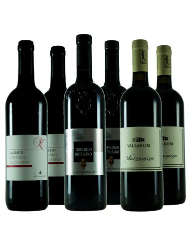 Vinos del Trentino: variedades únicas - 324