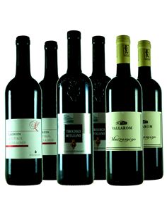 Vinos del Trentino: variedades únicas - 324 2