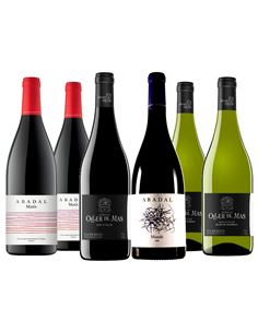 Pla de Bages: dos bodegas singulares con historia - 331_1 2