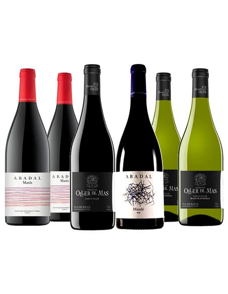 Pla de Bages: dos bodegas singulares con historia - 331_2