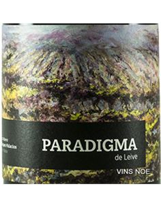 Paradigma de Leive - Paradigma 2