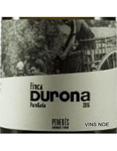 Durona Parellada - Durona_Blanc_parellada 2