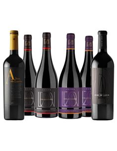 Bodegas Luzón, un valor a alza en Jumilla - 319