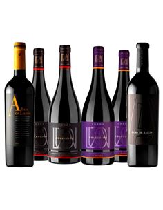 Bodegas Luzón, un valor a alza en Jumilla - 319 2