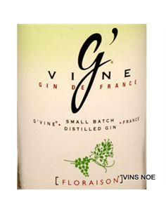 G´vine floraison - G_VINE_FLORAISON-E