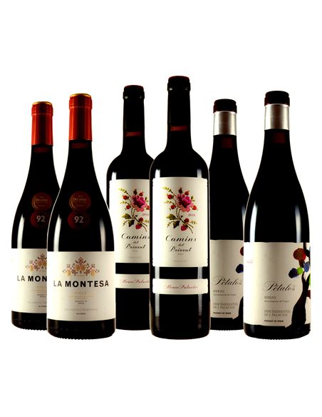 Alvaro Palacios, singularidad y elegancia - SEL 305 - CÒPIA