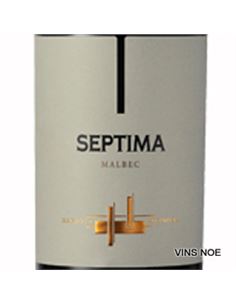 El Enemigo Malbec - SEPTIMA_MALBEC 2