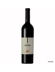 El Enemigo Cabernet Franc - SEPTIMA_MALBEC