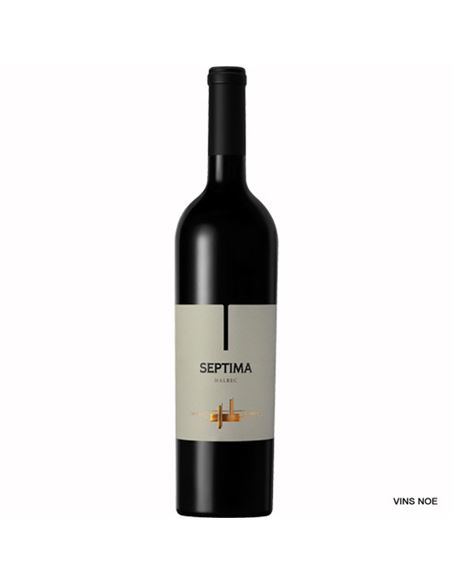 El Enemigo Cabernet Franc - SEPTIMA_MALBEC