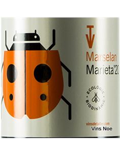 Marieta Marselan 2020 - Marieta_Marselan_2020 2