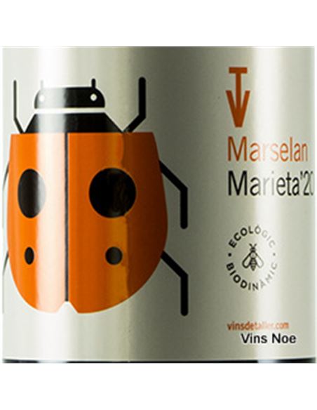 Marieta Marselan 2020 - Marieta_Marselan_2020-E