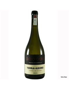 Terra Asorei Barrica - Terra_Asorei_Barrica