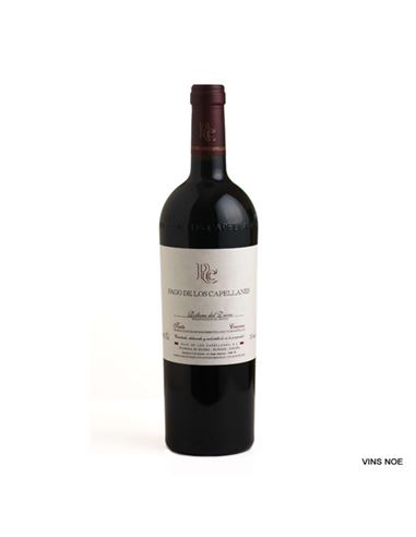 Pago Capellanes Crianza (5000ml) - PAGO DE LOS CAPELLANES CRIANZA (MAGNUM)