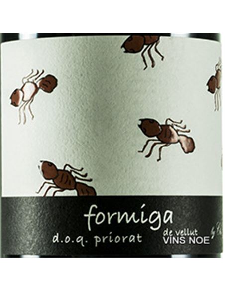 Formiga de vellut - FORMIGA_DE_VELLUT-E