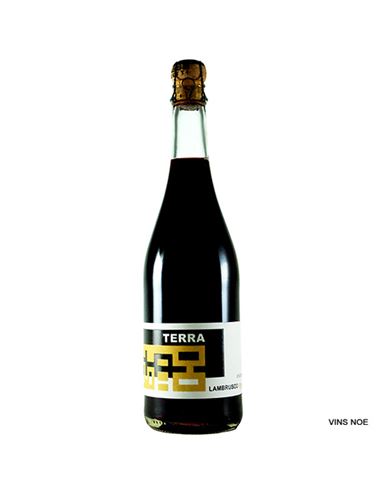 Lambrusco Emilia Terra - Lambrusco_Emilia_Terra