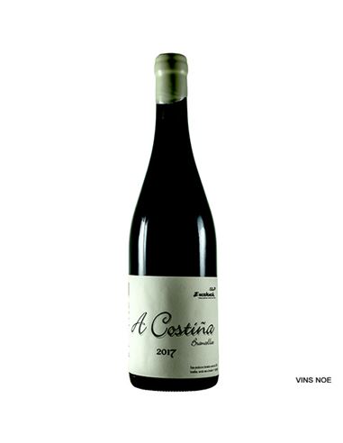 A Costiña - A_Costina