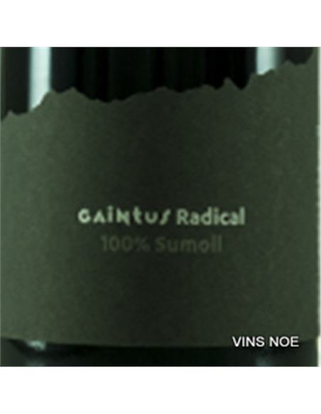 Gaintus Radical - Gaintus_Radical-E