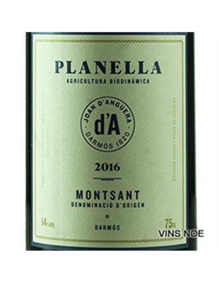 Joan d´Anguera La Planella - Joan_d'Anguera_La_Planella-E