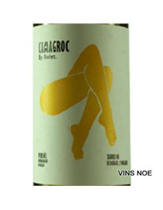 Camagroc Xarel·lo - Bolet_Camagroc_Xarel·lo 2