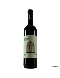 Cantarellus Ull de llebre - Bolet_Cantarellus_Ull_de_Llebre